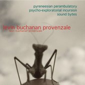 Pyreneesian Perambulatory Psycho-Exploratorial Incursion Sound Bytes