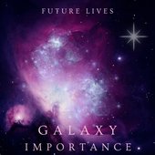 Galaxy Importance