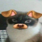 Avatar for Samyrbc