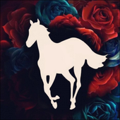Avatar for Nordpolar