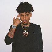 Joey Trap 7.jpg