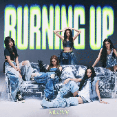 BURNING UP
