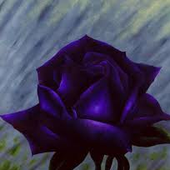 Аватар для purpleflower54