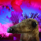 Saphyrzzz 的头像