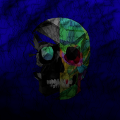 Avatar for SKULLXL