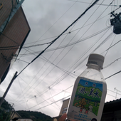 pokacyb 的头像