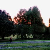 Sadie Jemmett on Hampstead Heath, August 2011