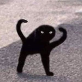 Im_DXTR 的头像