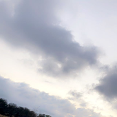 mcka_y1a 的头像