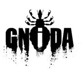 gnida