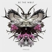 Imago