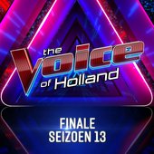 Finale (Seizoen 13)