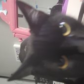 20211203_183235.jpg