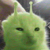 Avatar for allpacka