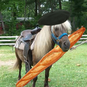 Аватар для FrenchPony