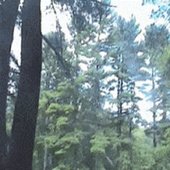 0022316930_23.jpg