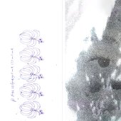 Amulet of Tears