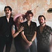 glitterfoxband-20250222_182017-591163842.jpg