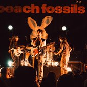 beach fossils.jpg