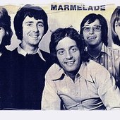 Marmalade_12.jpg