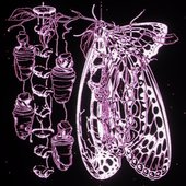 Metamorhposis [Explicit]