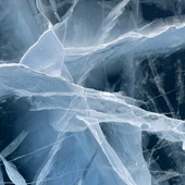 Avatar for N852579348