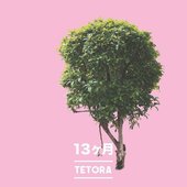13ヶ月