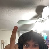 MIDDLE FINGER IN THE AIR