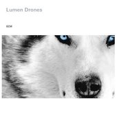 Lumen Drones