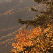 Appalachia