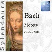 Bach Motets