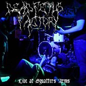 Live at Squatters Arms