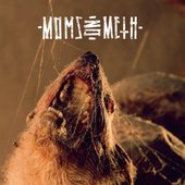 Moms on Meth