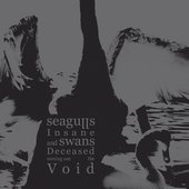 Seagulls Insane and Swans Deceased Mining Out the Void