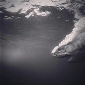 Sub Marine Sub Machine - EP