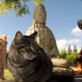 Buddha with cat 12.jpg