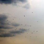 skyofhope
