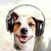 Avatar for gabrm4