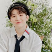 Romantic Crown Woozi