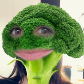 Broccolisan 的头像