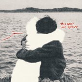 this wont last forever