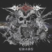 Chaos