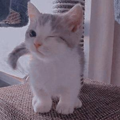 Srujayt 的头像