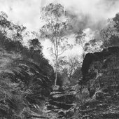 All This Will Be Picturesque Ruins