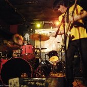 circle of buzzards live