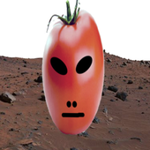 NastierG 的头像