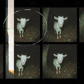 Scary Goat EP