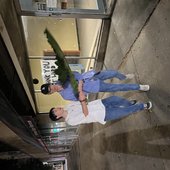 IMG_2962.jpeg