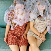 butterfly net