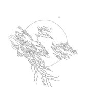 24D4702F-EC7E-4077-9738-58AAFCAEBBE8.jpeg